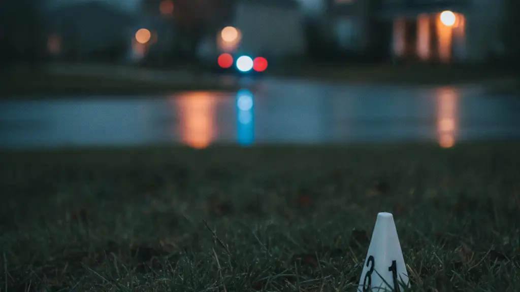 Police evidence marker in wet grass, distant emergency lights reflecting on a blurred street.