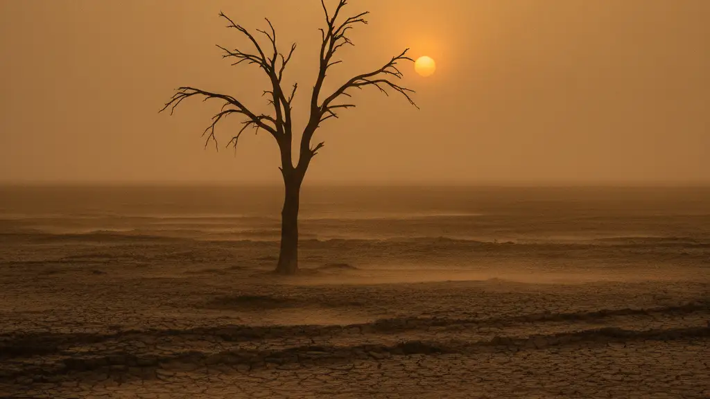 A parched tree silhouetted against a hazy, orange sunset over cracked earth.