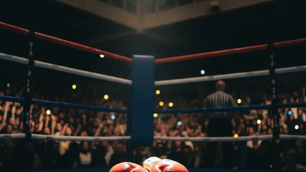 Professional boxing gloves resting on a ring canvas under a bright arena spotlight.