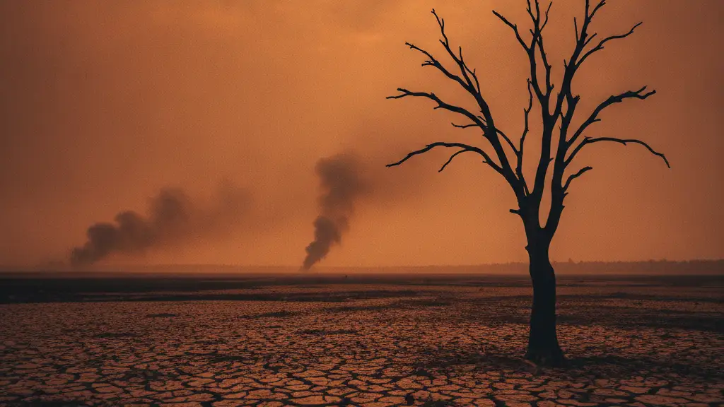 A lone, parched tree silhouetted against a smoky, orange-red sky.