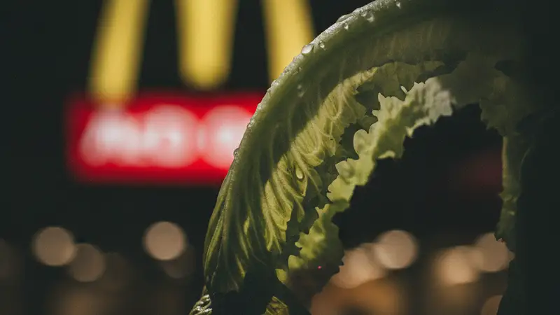 Taco Bell Lettuce Linked to Cyclospora Outbreak, Hospitalizing Dozens
