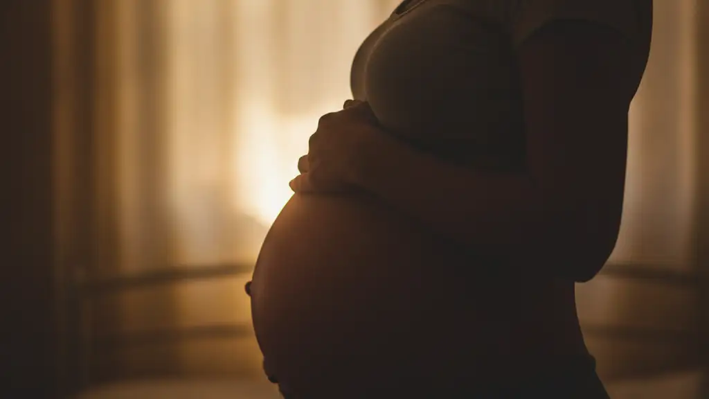 Pregnant woman's silhouette, hands cradling baby bump in soft light.