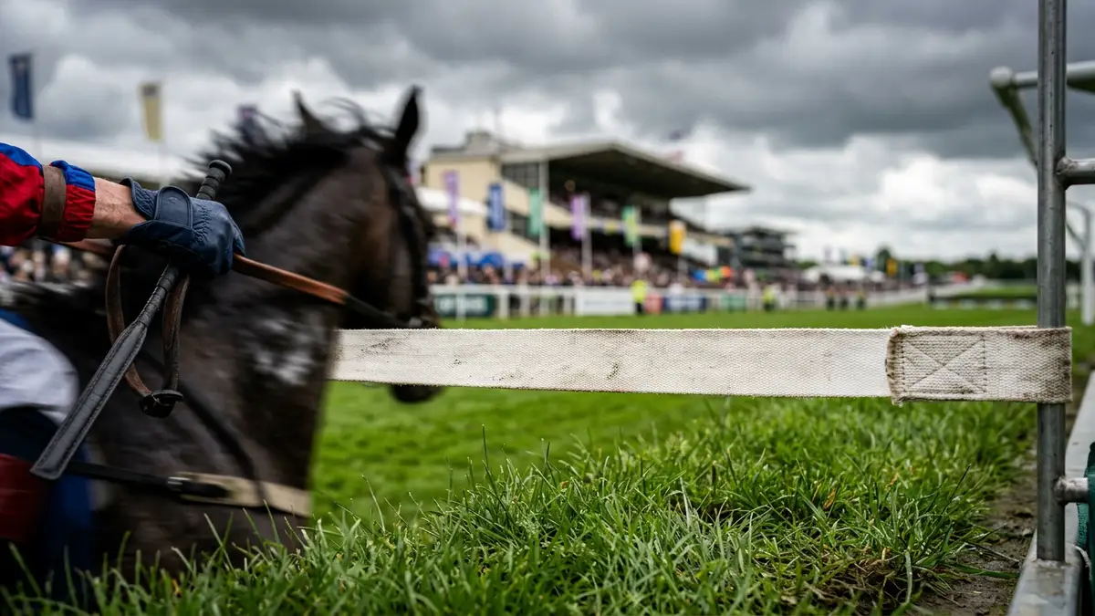 A close-up of a white horse racing starting tape stretched across a green grass track.