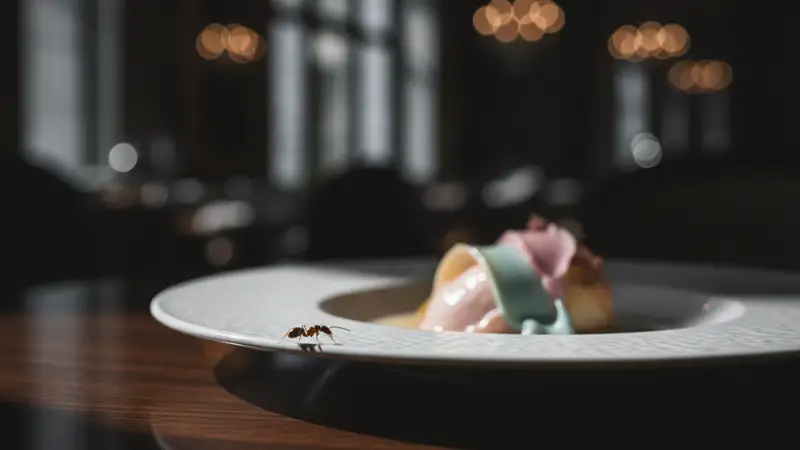 Michelin-Starred Chef Faces Prison Over Ant-Topped Desserts